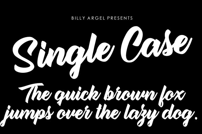 Single Case Font poster