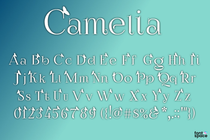 Camelia Font poster