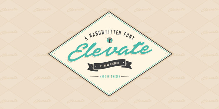 Elevate Font poster