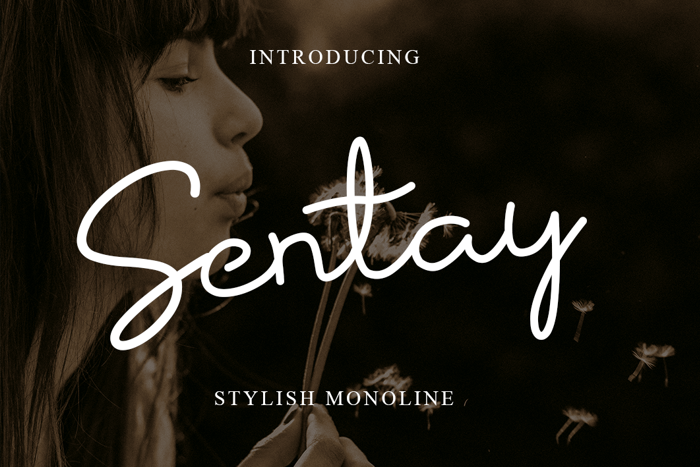 Sentay Font poster
