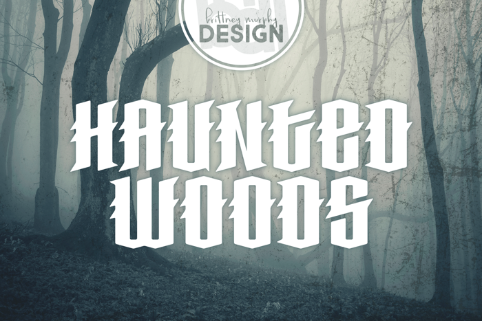 Haunted Woods Font poster