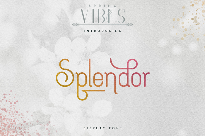 SPLENDOR Font poster