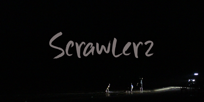 Scrawlerz DEMO Font poster