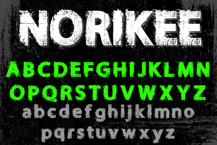 NORIKEE DEMO Font poster