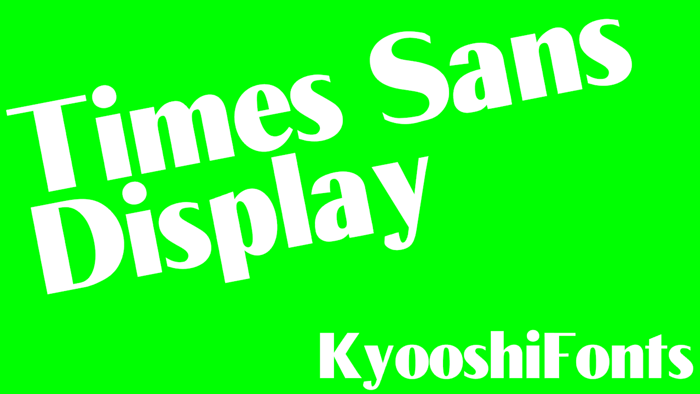 Times Sans Font poster