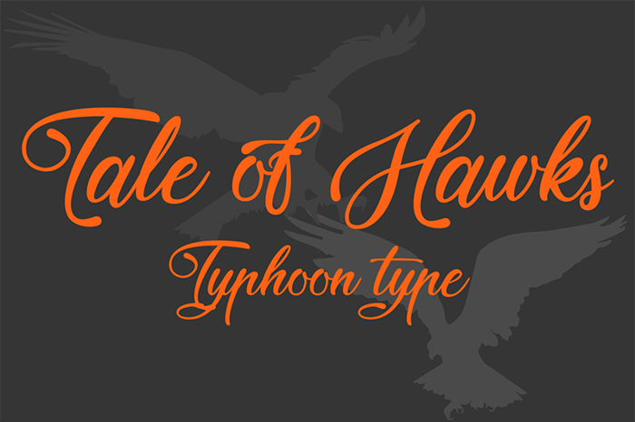Tale of Hawks Font poster