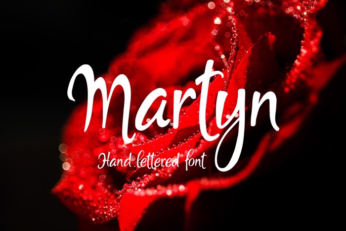 Martyn Font poster