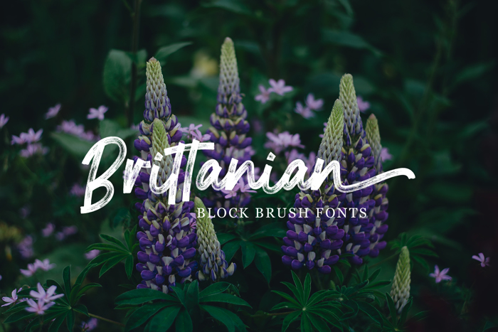 Brittanian Font poster