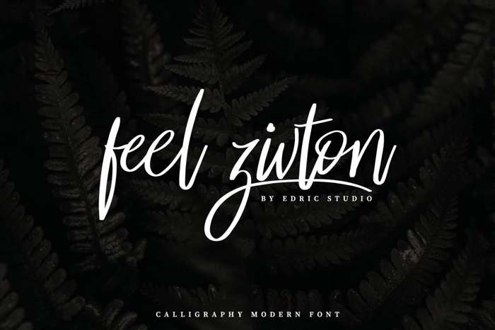 Feel Zivton Font poster