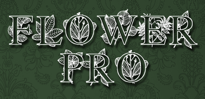 FlowerProDemo Font poster
