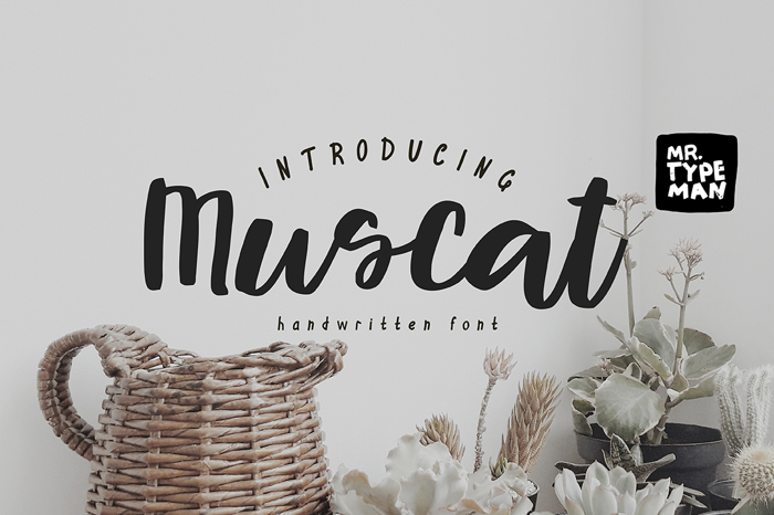 Muscat Font poster