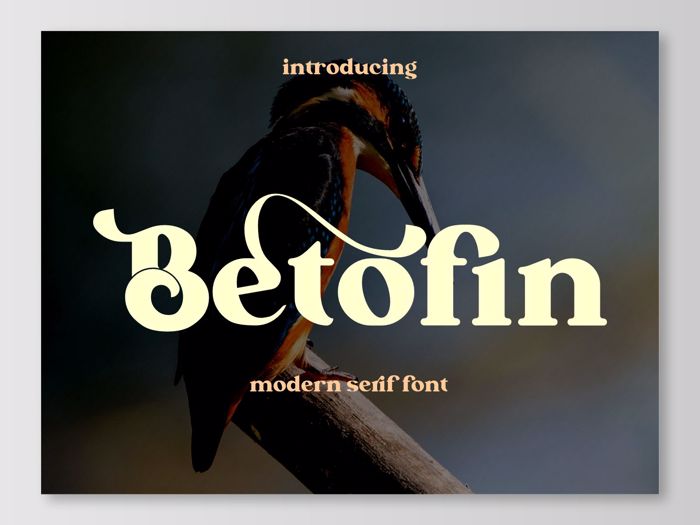 Betofin Font poster