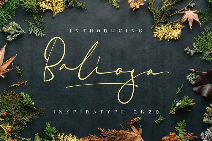 Baliosa Font poster