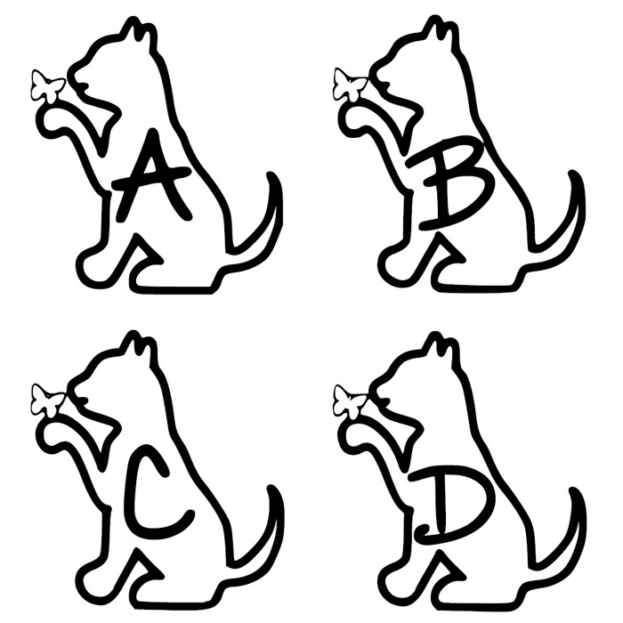 Ks Alphacat Font poster