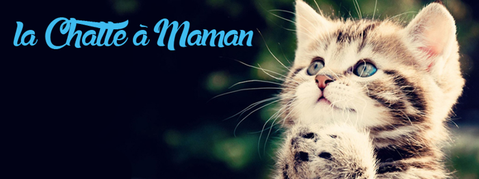 la Chatte à Maman Font poster