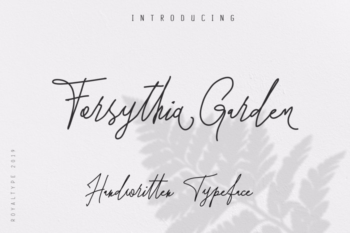Forsythia Garden Font poster