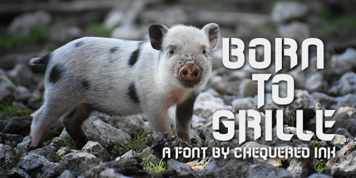 Born to Grille Font poster