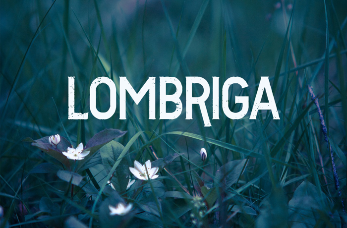 Vtks Lombriga Font poster