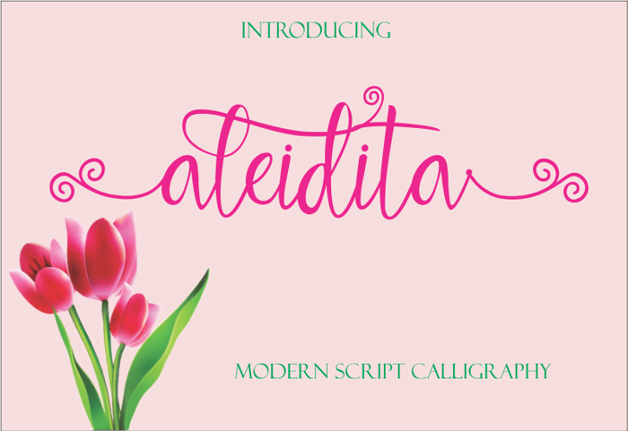 aleidita Font poster