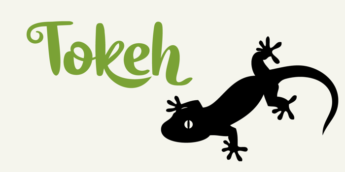 Tokeh DEMO Font poster