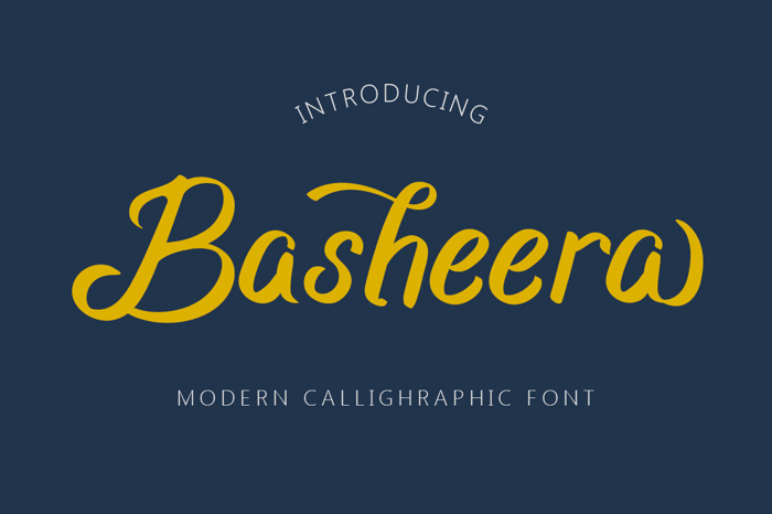 Basheera Font poster