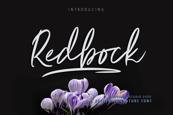 Redbock Font poster