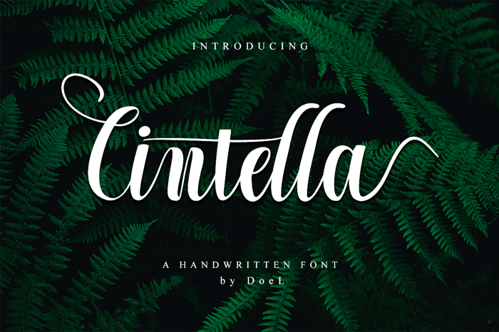 Cintella Font