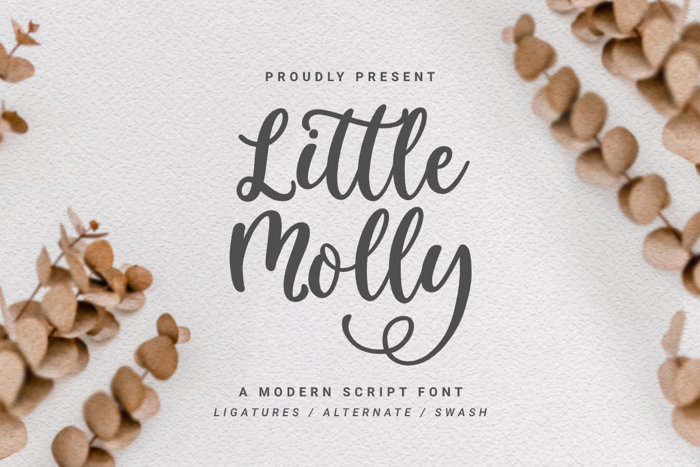 Little Molly Font poster