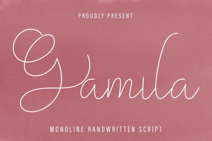 Gamila Font poster