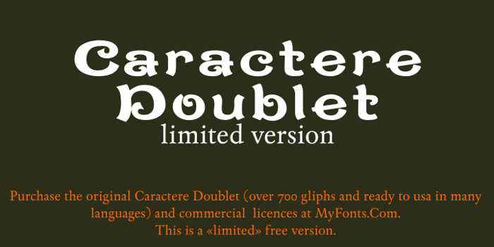 CaractereDoublet Font poster