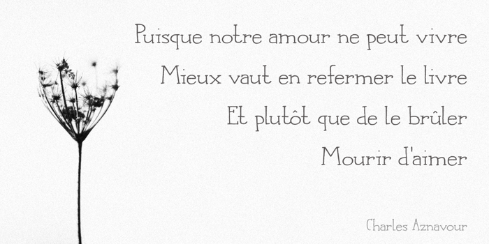DK Languedoc Font poster