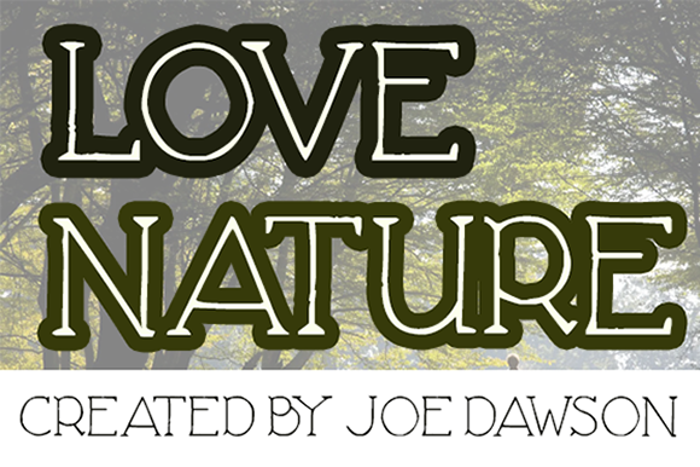 Love Nature Font poster