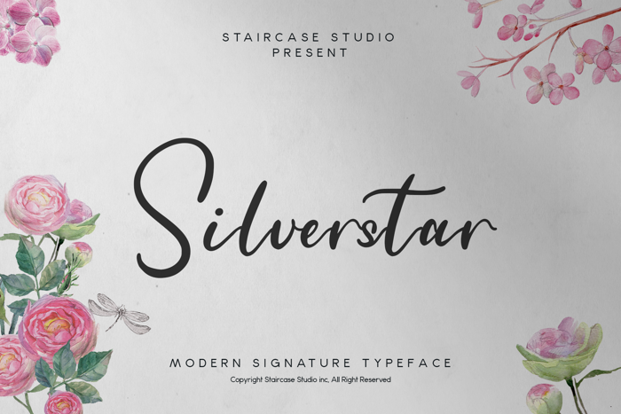 Silverstar Font poster