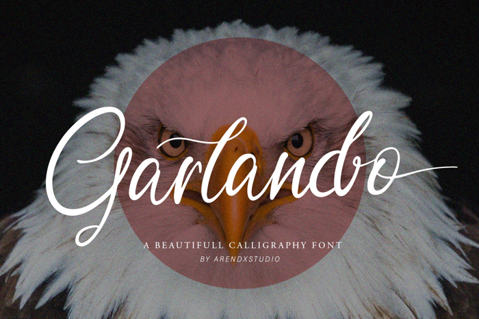 Garlando Font poster