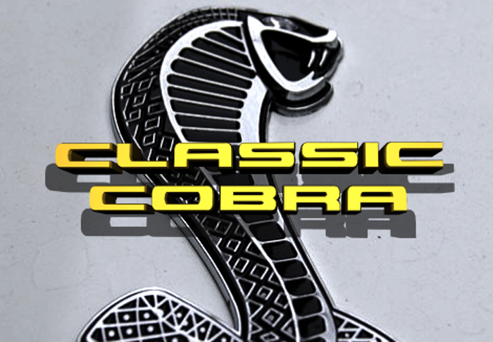 Classic Cobra Font poster
