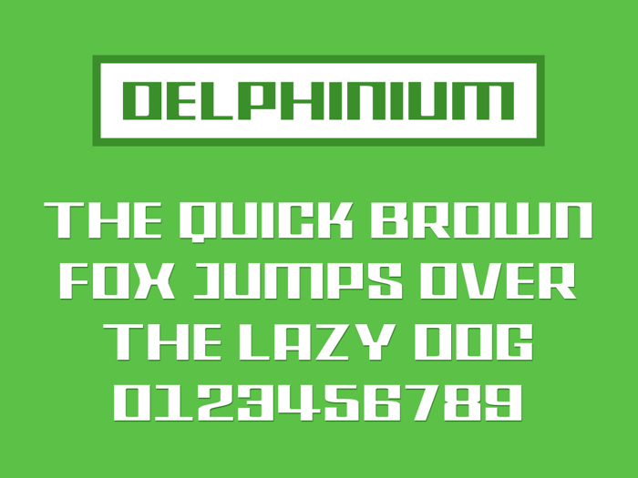 Delphinium Font poster