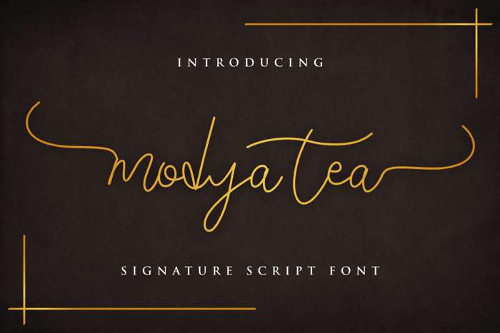 Modya Tea Font poster