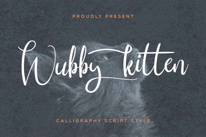 Wubby Kitten Font poster