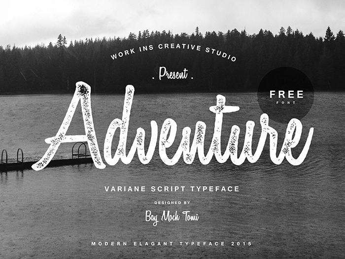 Variane Script Font poster