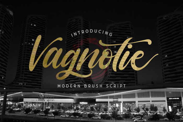 vagnotie Font poster