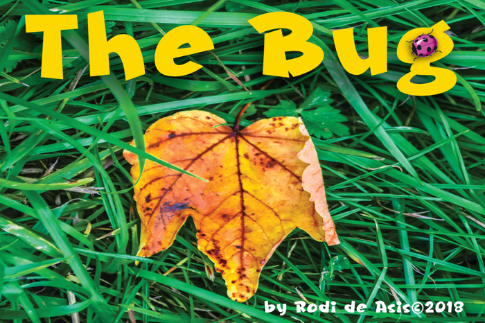 The Bug Font poster