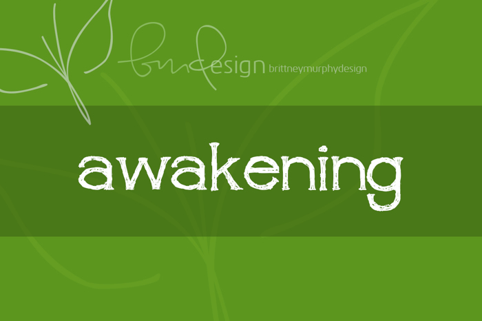 awakening Font poster