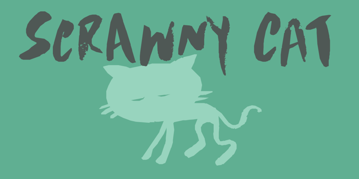 DK Scrawny Cat Font poster