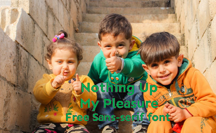 Nothing Up My Pleasure Font poster