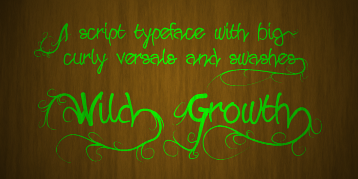 Wild Growth Font poster