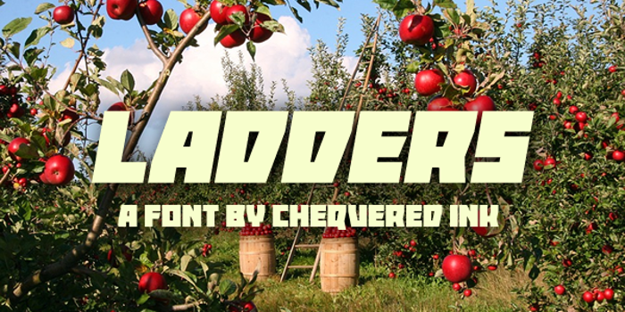 Ladders Font poster