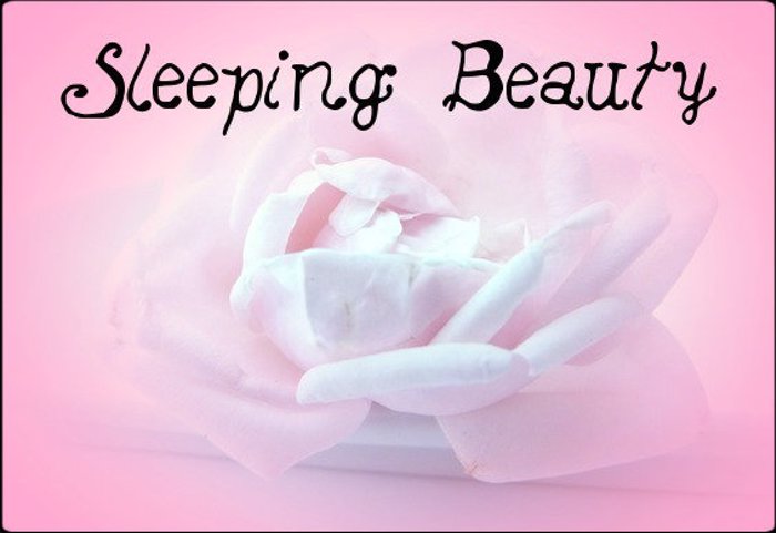 Sleeping Beauty Font poster
