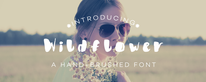 Wildflower Font poster