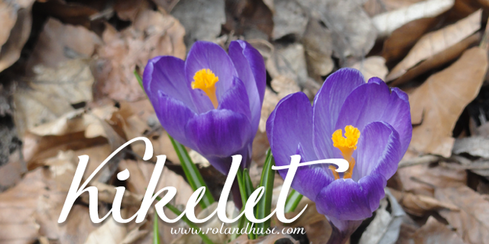 Kikelet Font poster