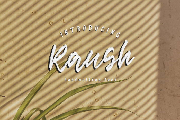 Raush Font poster